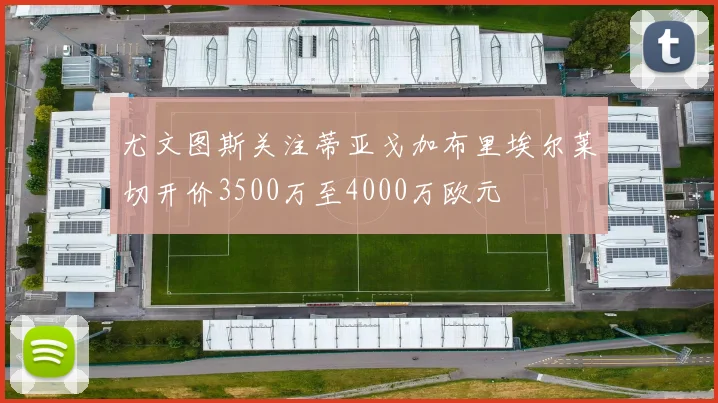 尤文图斯关注蒂亚戈加布里埃尔莱切开价3500万至4000万欧元