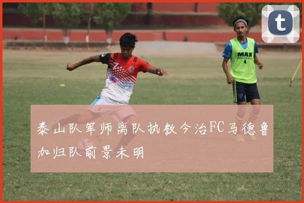 泰山队军师离队执教今治FC马德鲁加归队前景未明